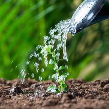10 curiosidades sobre el agua que te sorprenderán