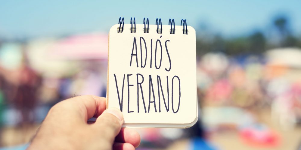 Imagen en miniatura de entrada